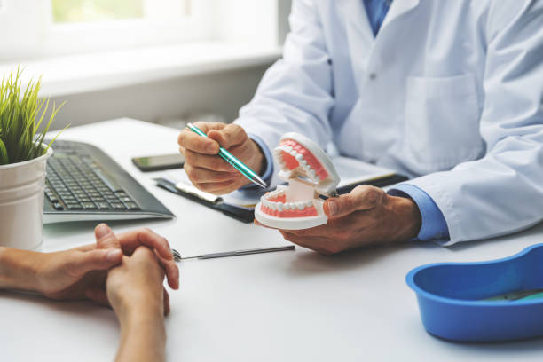 Trusted Willards, MD Holistic Dental Care Services Experts